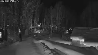 Live Leaf Cam - Desolation Hotel Hope Valley
