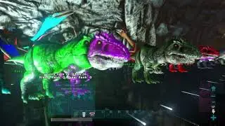 Mass hatch ark