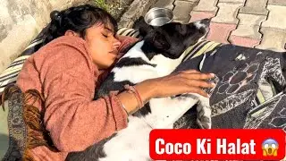Coco Nashe Karne Lagi 😱 | Village Life Vlog | EP-168