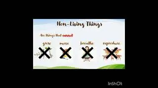 Living and Non-Living Things with Pictures | Easy Learning