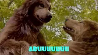 VARULVE/ULVE