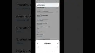 Find DPI in Developer Options in Android - Wild Flower Tech