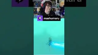 BLSS Blindflug |  #twitch #botw #shorts