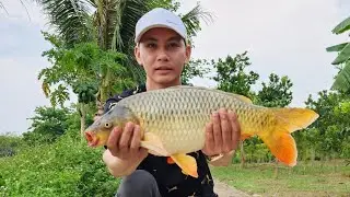 Wild fishing - fishing for big carp in an abandoned lake #pewkapi