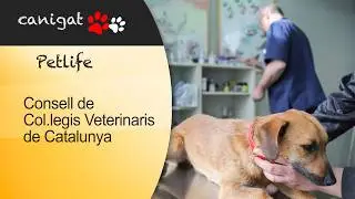 ZOOMVET Consejo de Colegios Veterinarios de Cataluña