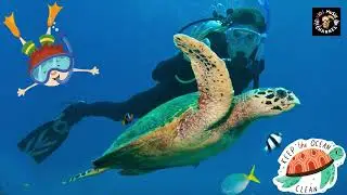 Ocean Protectors #kidssong #kidsmusic #protecttheocean #oceanprotection #protecttheplanet