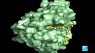 A happy accident: scientists create a mutant enzyme that eats plastic