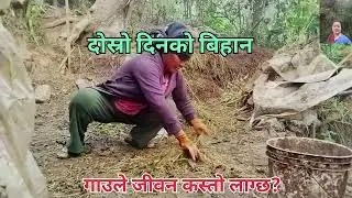 मेरो गाउँ घरको दैनिकि भैंसी दुहुने ,गोबर सोहर्ने घासपात गर्ने यो मेरो सुखले कैले नछाड्ने  भो🙏❤️🌺❤️🙏