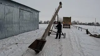 Ціна на Олію в світі бʼє Рекорди десятиліття!!! Фермерам за Соняшник дають Копійки!!!