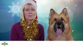 Specialist Dog Training - Merry Christmas