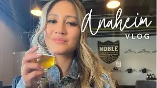 TRAVEL VLOG | ANAHEIM, CA