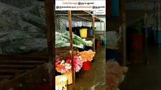 Why Every Farmer Needs Cold Storage 🚛 | Business Tamil #coldstorage #shorts