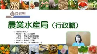 【愛知県庁 仕事紹介】農業水産局（行政職）