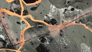 Sensek - Higgs Field [ViGi02]