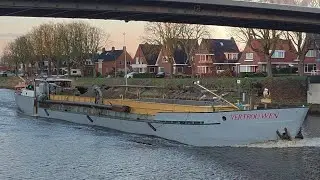 ⚓️DIT IS ECHT ABSURD⚓️
