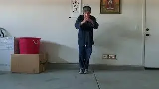 Kung fu training videos