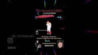 The Sound of ABBA  - RockPop2001 - WERNER DIPPON 