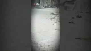 New app  litlot my first video   india app the best app