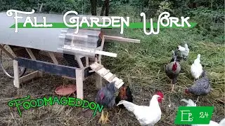 Fall Garden Work -- Foodmageddon, Ep. 23