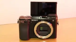 Sony A6100: Redefining Affordable Photography