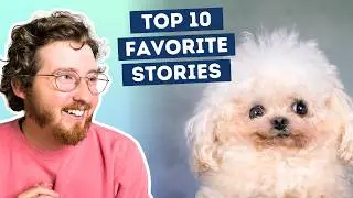 My Top 10 Favorite Dog Stories of the Year!