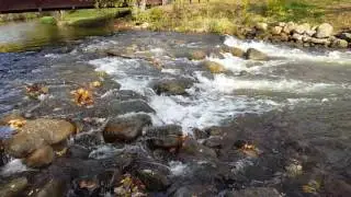 Rochester Park