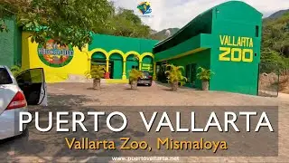 Vallarta Zoo Tour, Mismaloya, Puerto Vallarta, Mexico