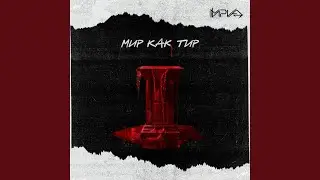 Мир как тир
