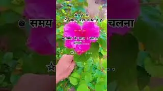 #magical #words  #motivation #viral  #video #important #for #everyone  #love #hindisong