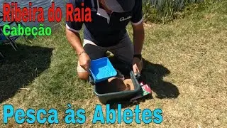 Pesca às Abletes - Ribeira do Raia - Cabeção
