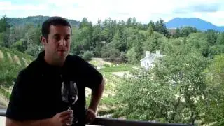 A visit to Vineyard 7 and 8 in the Spring Mountain District