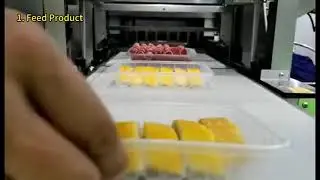 Packaging Line For fruits Vegetable mushroom meat food product