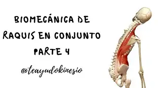 BIOMECÁNICA DE RAQUIS EN CONJUNTO 4° PARTE: MIOCINÉTICA