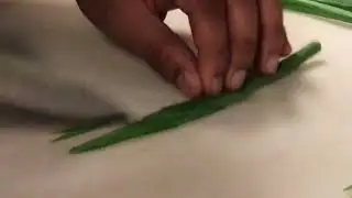 The Zelite Infinity 6&rdquo; Utility Knife Doing Precise Work
