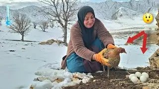 Чудесное спасение курицы и её яиц от метели и смертельного холода😲🥶