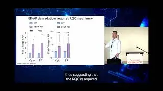 uL24/RPL26 UFMylation Is Essential for Ribosome Quality Control at the ER