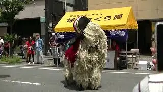 2025年5月3日　どんたく　琉球國祭り太鼓　土居通り　②　獅子