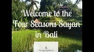 Read the full review of the Riverfront One bedroom villa and the Four Seasons Resort Bali at Sayan