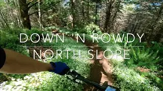 Down 'N Rowdy - North Slope - Olympia, Washington (2024)