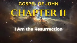 John Chapter 11 Audio Bible | Complete Scripture Reading for Sleep & Study (WEB)
