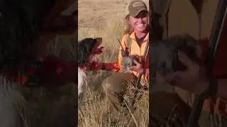 GUN DOG's 