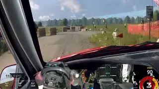RACE 4 Dirt Rally 2.0: Sloth Racers: Germany