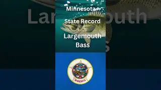 How big is the Minnesota State Record Largemouth Bass?