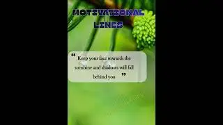 Keep Your Face Towards the Sunshine and Shadows Will Fall Behind You|| Success Mindset ||Inspiration