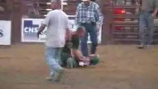 Sheep Riding 2