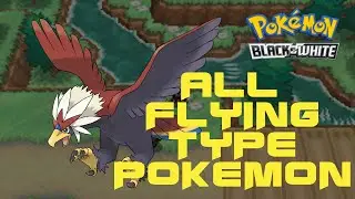 All Flying Types in Pok&eacute;mon Black and White