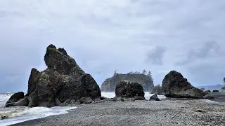 Kalaloch Beach Camping