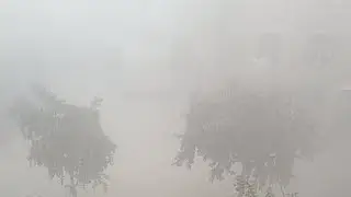 Enjoying the fog in LPU and explaining your doubts about Computer Science