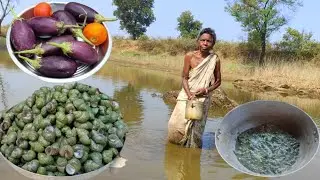 99 years old grandma how collect SMALL SNAIL and cooking with BRINJAL | typical life of tribe people
