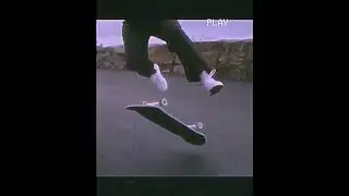 Skateboard aesthetic